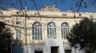 Stazione Zoologia Napoli Stazione Zoologia Napoli