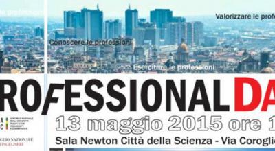professional day 2 professional day 2